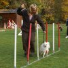 agility 2011-10-30